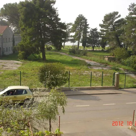 Lino * Umag