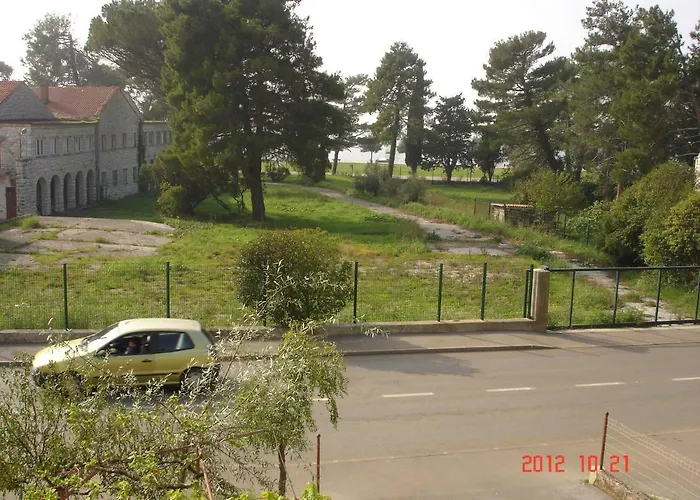 Lino * Umag